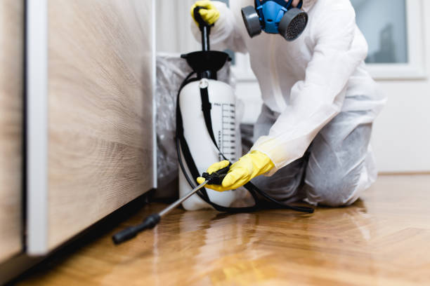 Best Best Pest Control Companies  in Pleasant Hills, MD