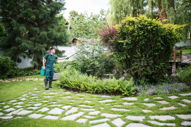 Best Best Pest Control Companies  in Pleasant Hills, MD