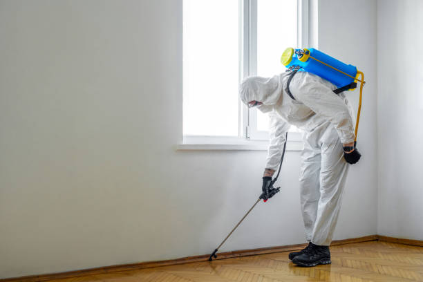 Best Mosquito Control Services  in Pleasant Hills, MD