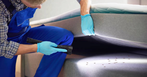 Flea Control Services in Pleasant Hills, MD