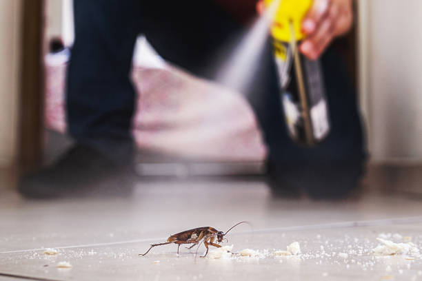Best Wildlife Control Services  in Pleasant Hills, MD