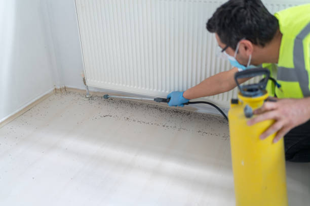 Reliable Pleasant Hills, MD Pest Control Solutions